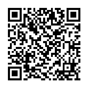 发现偌大的包厢只有司空青御一个人坐在沙发上二维码生成