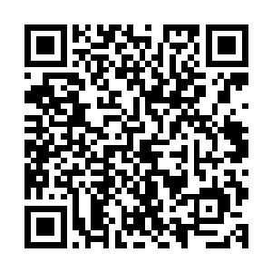 发现刚才那些围着锅台转来转去的下人都十分识趣的退避开了二维码生成