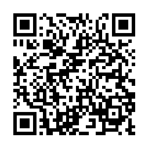 发现原本篮球场地的中央临时搭建了一个方形擂台二维码生成