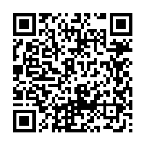 发现原本跟在自己身后来自各宗的天才弟子的身影二维码生成