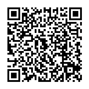 发现同学中一位平时看来十分普通的学长能对当地人信手画出想要的草药外形二维码生成