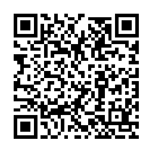 发现后者正颇有耐心地带着宇慕灵在一一挑着石料二维码生成