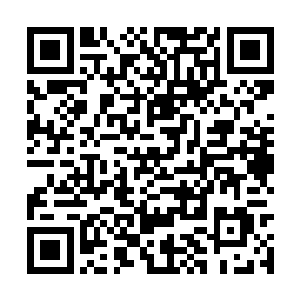 发现周围的人正对着晏老太爷和晏老太太问安行礼二维码生成