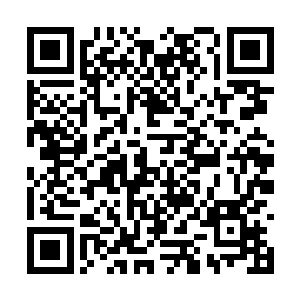 发现大脑经脉中附着千丝万缕微微泛着红光的血丝二维码生成