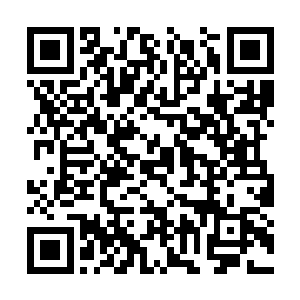 发现她们现在在的地方是一个低沃的野蒿丛小盆地二维码生成