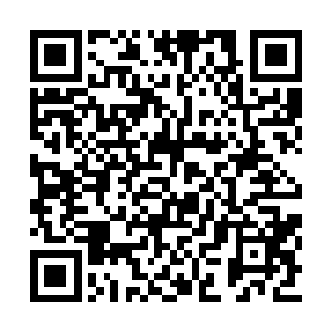 发现她家族长大人情绪变化的凌菲赶紧过来救火二维码生成