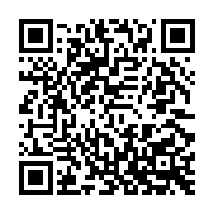 发现它断角处和身上鳞甲脱落的地方压根没有长出恢复的迹象二维码生成