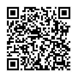 发现寝室里还有两人正趴在电脑前专心致志的看着什么二维码生成