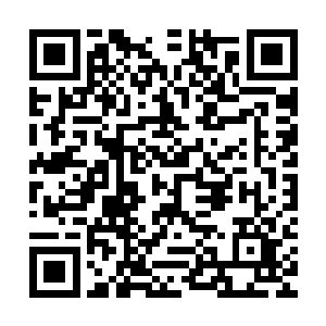 发现左丘寒身边一位老太修鱼兰玉的手中拿着的也是灰色的花儿二维码生成