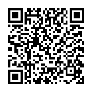 发现平日里和我关系较好的同事都给我打过电话慰问二维码生成