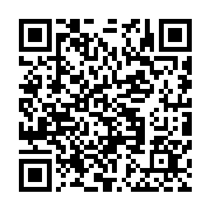 发现并不是所有孩子都是小魔星或者早熟懂事到会耍心眼的二维码生成