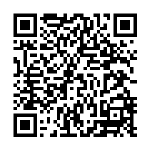 发现放置在里面的储物装备在里面竟是全缩小到只有指头大二维码生成