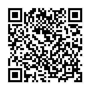 发现是他在瑞典时打电话让马悦调查的李秋白资料二维码生成