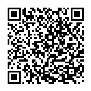发现来的居然是之前曾对他产生过极不友好举动的锦鸡圣洞的圣弟子金采栾二维码生成