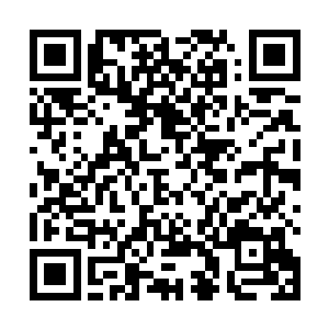发现桌子上有一盒金蛹养肌粉――你们觉得这个怎么样二维码生成