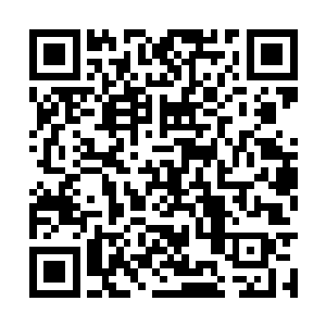 发现楚暮这个不起眼的不被他看在眼里的五星剑王二维码生成