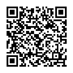 发现正在疾跑中的大黑牛忽然噗通一声跪在地上二维码生成