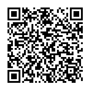 发现每本书都用牛皮纸包上了封皮……她差点都忘了书要包封皮这回事二维码生成