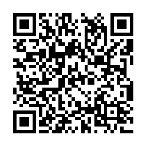 发现江小奴等人身体内的药力虽然消耗的差不多了二维码生成