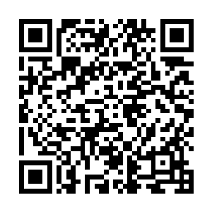 发现王世子并上传照片的这个家伙显然不是专业的记者二维码生成