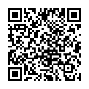 发现白衬衫几次过来送东西都会很隐蔽地瞟陈建一眼二维码生成
