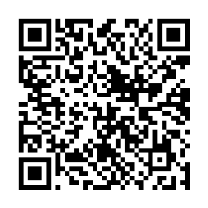 发现穆子纯和关云飞已经跟苏阴灵还有延川他们汇合了二维码生成