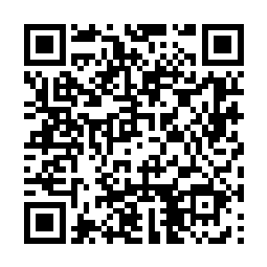 发现筑基丹对于已经筑基成功的他没有太大的作用二维码生成