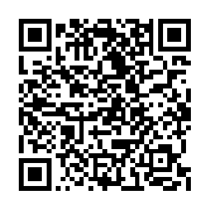 发现给我砍死的那位似乎修炼了落剑仙宗的心法二维码生成