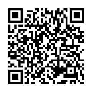 发现肖红正在认真地给客户推销自己公司的产品二维码生成