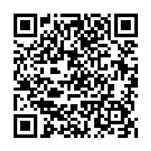 发现自己再一次出现在了一个陌生的幻环境之中二维码生成