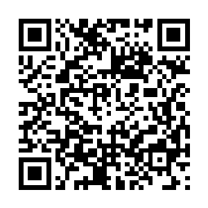 发现自己已经身处卫神和秦广王的异次元包围中了二维码生成