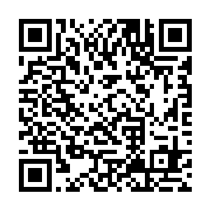 发现自己有些不了解即将成为自己新主子的小姑娘了二维码生成