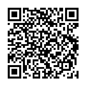 发现自己现在的生命形态依旧只是最原始的生命之种形态二维码生成