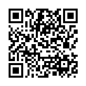 发现自己的确身处一片小树林之中二维码生成