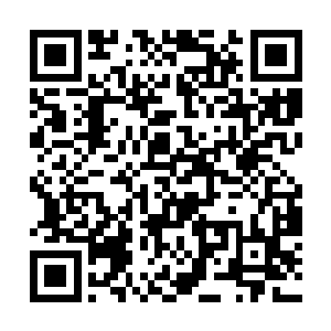 发现这个孩子在电梯门合拢的时候还在伸手去摸电梯二维码生成