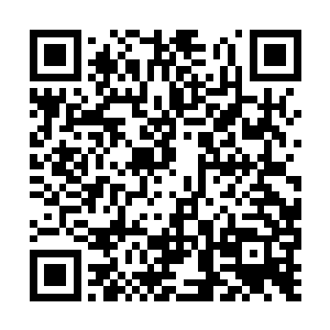 发现这些灵石和田芬交给自己的绝对不可同日而与二维码生成