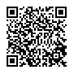 发现这里石壁上的水草和沉积物刚才就已经被燕小霞所清理掉了二维码生成