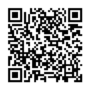 发现那些浓郁的真气在凝成一个龙眼大小的珠子后二维码生成
