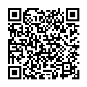 发现那些阵宗的仙阵师此时都已经站在了阵法之外二维码生成