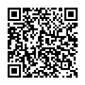 发现那已经是挂了好几套的黑色飞翅和鳞甲盾牌二维码生成