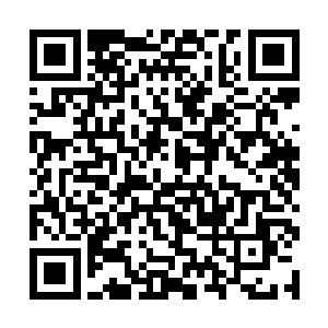 发现那许紫烟对于第五小队的事情根本就是放手不管二维码生成