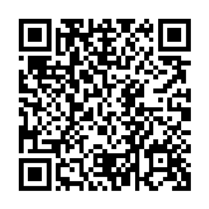 发现里面的内容果然跟他指南里放着的那本初级训练法一模一样二维码生成
