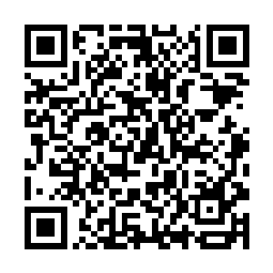 发现陆青跟自己原本印象之中的人已经完全不一样了二维码生成