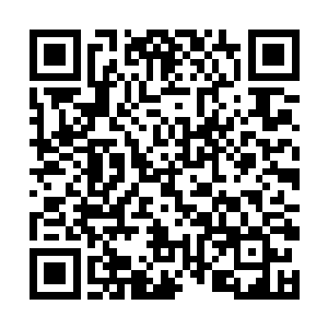 发生在第三区域中的抢夺魔核事情也是由他们引起的二维码生成