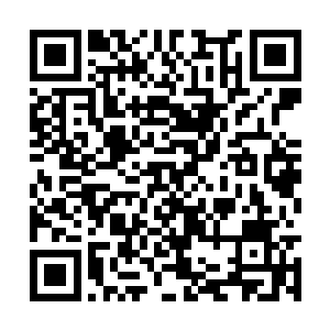 发着红光的那颗噬金蟒的牙齿的形状慢慢在改变着二维码生成