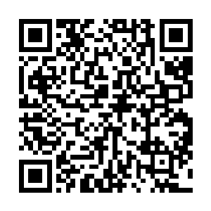 发自内心的疼爱做不了假……这是因她而诞生的小生命呢二维码生成