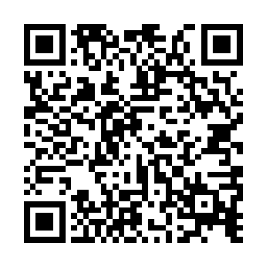 发觉旁边又有一根若肋骨一样的巨骨横着延伸过来二维码生成