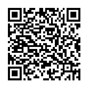 发觉自己的双腿依然是被死死的吸附在了沼泽当中二维码生成