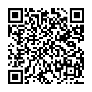 发觉那广场上面的汉白玉竟真的全部都无一赝品的时候二维码生成