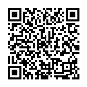 叔叔派了很多穷凶极恶的刺客和雇佣兵来追杀我二维码生成
